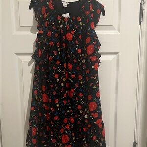 J. Crew Factory Black and Red Floral Dress